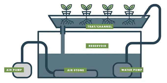 NFT System