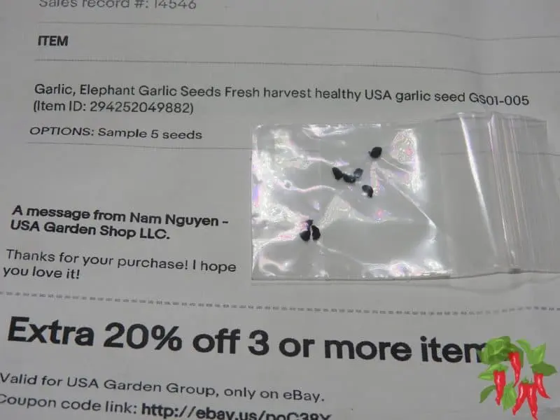 Growing Elephant Garlic Indoors From Seeds