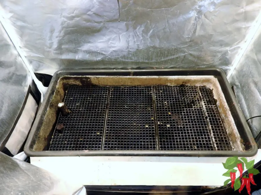 automated flood and drain watering
