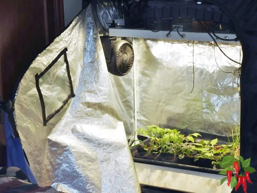 Using An iPower Grow Tent For Growing Vegetables