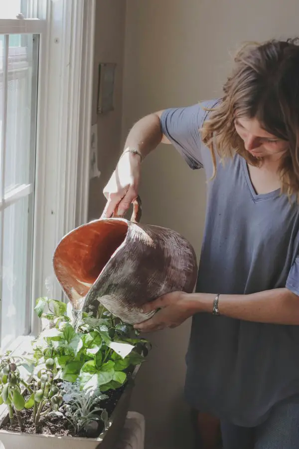 Grouping Plants with Similar Water Needs