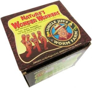 Red Wiggler Worms