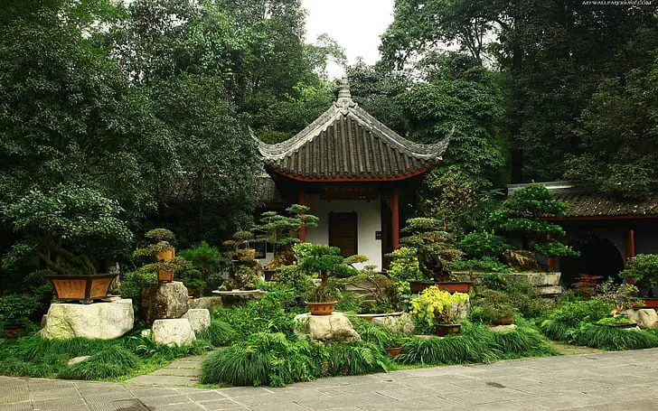 Bonsai Garden Ideas