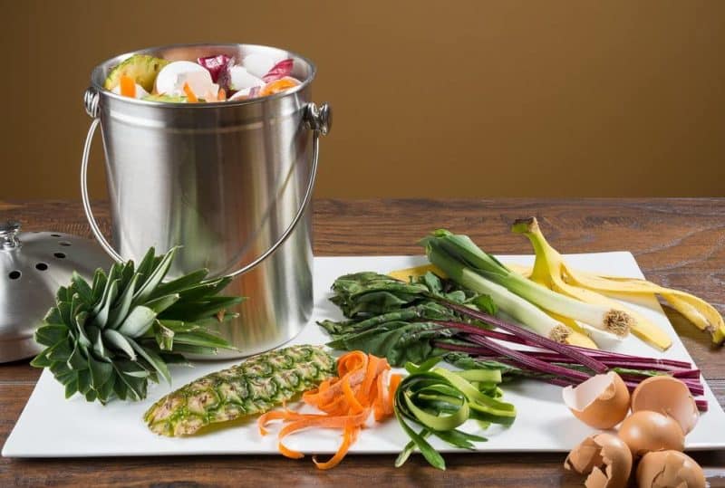 Best Composting Ideas For Indoors