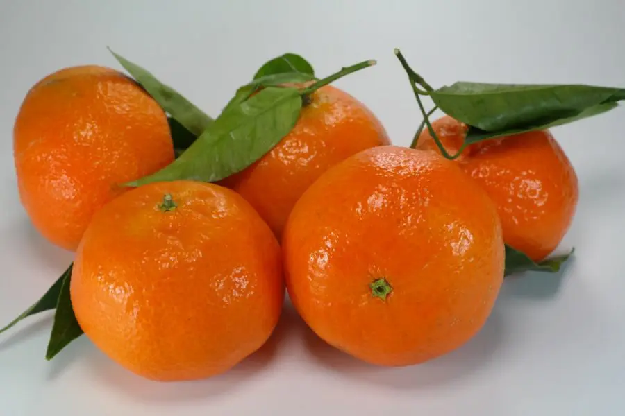 Mandarin Oranges