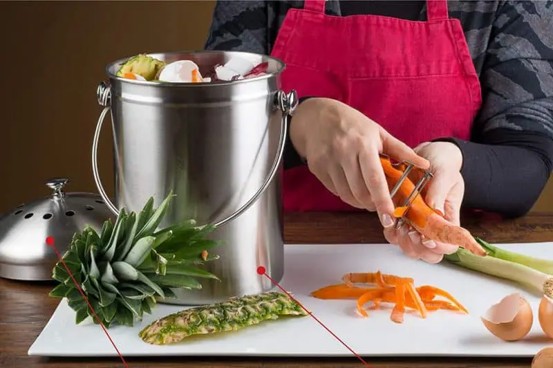 Best Composting Ideas For Indoors