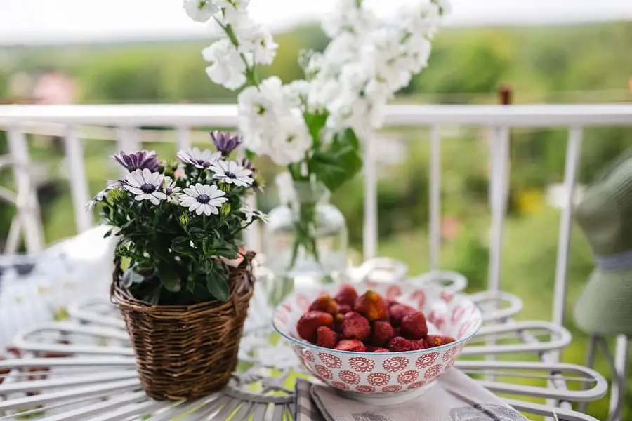 An Introduction to Small Balcony Gardening